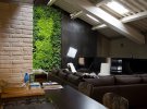 Вертикальне озелеення квартири: як вибрати модні рослини