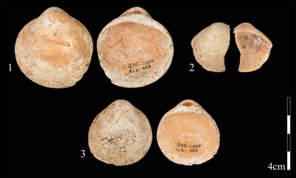 Доісторичні люди виготовляли намиста 120 тис. років тому