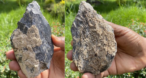 Знайшли доісторичну сокиру, виготовлену з кістки бегемота