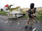 Місце падіння пасажирського авіалайнера на Донбасі у 2014 році