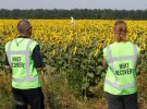 Місце падіння пасажирського авіалайнера на Донбасі у 2014 році