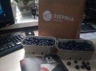 Ярослав Мовчун разработал специальную систему полива и автоматизировал сбор ягод на своей ферме