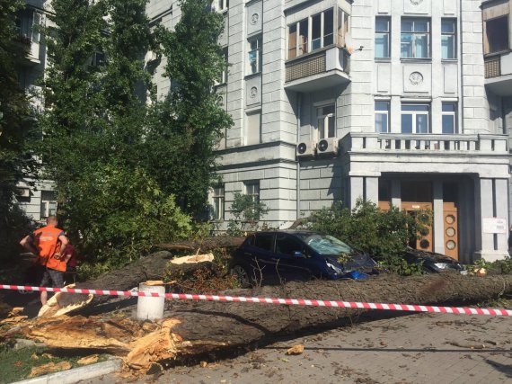 Дерево впало біля Офісу президента