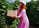Юлия Ворощук засеяла 10 га ревенем. Также на ферме выращивает органические овощи