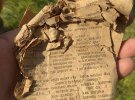 При ньому були каска, німецько-російський розмовник, годинник, ручка, запальничка, перстень, шпори та безліч інших речей