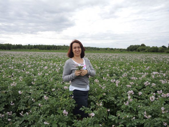Виконавчий директор Української асоціації виробників картоплі Оксана Руженкова: "Без підтримки держави вітчизняному виробнику не вдасться завадити експансії імпортної картоплі. Необхідно, щоб уряд прийняв концепцію розвитку промислового картоплярства".
