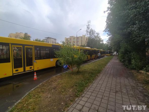 Вибори президента в Білорусі. Фото:Фото: Дарина Бурякіна, TUT.BY