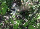 На Київщині знайшли мертвою зниклу 12-річну Софію Недобой із Яготина. У вбивстві підозрюють її 15-річного знайомого