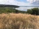 На Київщині знайшли мертвою зниклу 12-річну Софію Недобой із Яготина. У вбивстві підозрюють її 15-річного знайомого