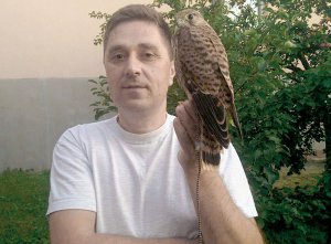 Микола Бойчук із Гайсина на Вінниччині півтора року тримав удома пустельного сокола. Коли той був пташеням, годував його шматками м’яса