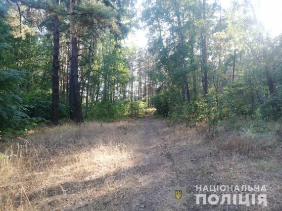 В Ізюмі на Харківщині в лісовому масиві 46-річний зарізав колишню співмешканку