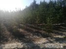 В Ізюмі на Харківщині в лісовому масиві 46-річний зарізав колишню співмешканку