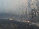 На території Дворічанського лісництва на Харківщині  виникла лісова пожежа, яка перекинулася на село Горобівка