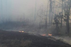 Вже маємо думати про виділення фінансування для покриття втрат - Зеленський.  Фото: ДСНС