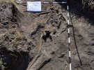 На Житомирщині знайшли поховання військових