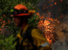 Пожары в Калифорнии уничтожили почти 6 тысяч гектаров леса.