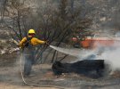 Пожежі в Каліфорнії знищили майже 6 тисяч гектарів лісу.