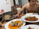 Ревнивый кот Джарвис оберегает своего хозяина