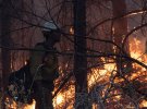 У США вже три тижні не вщухають масштабні пожежі, які знищели майже 1,8 млн гектарів лісу та забрали життя людей