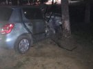 В Ужгороді   3 подруги  на Skoda Fabia влетіли в дерево на вул. Собранецькій. Загинула 19-річна пасажирка авто. 23-річна водійка  була п‘яна