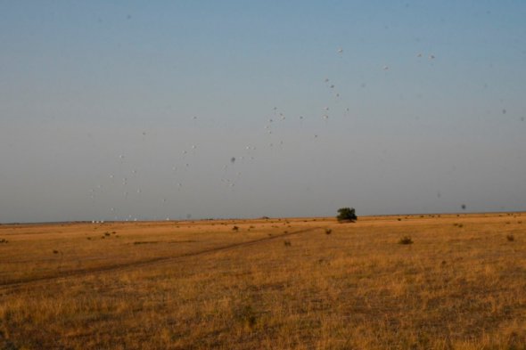 В Україні десантувалися більше 450 британських військовослужбовців. Фото: facebook.com/www.dshv.mil.gov.ua