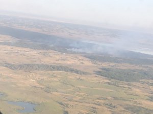 У Голопристанському районі проводяться заходи щодо гасіння лісової пожежі. Фото: ДСНС