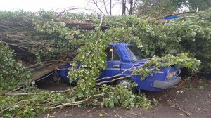 На Херсонщине ураган повалил деревья и повредил крыши. Фото: Нацполиция