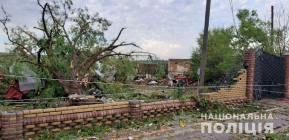 На Херсонщині буревій повалив дерева й пошкодив дахи. Фото: Нацполіція