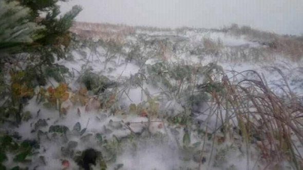 На горі Піп Іван випав перший сніг. Фото: Укргідрометцентр