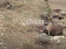 Азербайджан показал тела погибших в Нагорном Карабахе армянских солдат