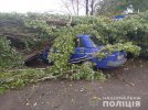 Через велику Олександрівку та прилеглі околиці в Херсонській області пройшов досить потужний торнадо