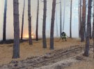 На Луганщині посилились лісові пожежі