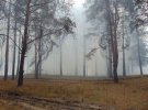На Луганщине усилились лесные пожары