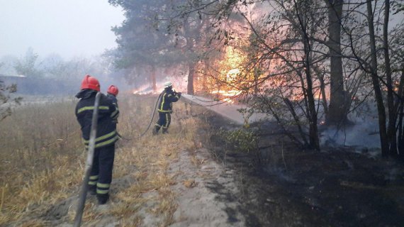 Площадь пожаров в экосистемах на Луганщине превысило 11 тыс. га