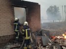 Площа пожеж в екосистемах на Луганщині сягнула понад 11 тис. га
