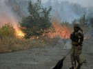 На Луганщині триває ліквідація масштабних пожеж. В ООС причиною назвали ворожі збройні провокації із застосуванням трасуючих куль