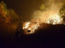 На Луганщине продолжается ликвидация масштабных пожаров. В ООС причиной назвали враждебные вооруженные провокации с применением трассирующих пуль