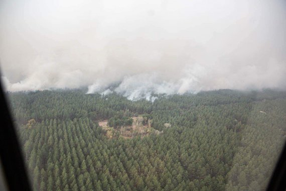 30 сентября в 7 районах Луганской области возникли масштабные пожары. Огонь быстро разносит порывами ветра