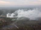 30 вересня в 7 районах на Луганщині  виникли масштабні пожежі. Вогонь швидко розносить поривами вітру