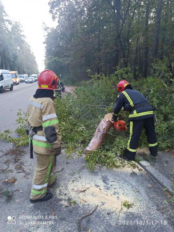 На автомобіль «Volkswagen» та ГАЗ «Волга» внаслідок пориву вітру впало дерево