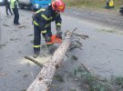  Рятувальники звільняють проїжджу частину дороги від поваленого дерева