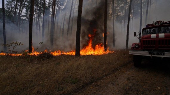 На Луганщині триває ліквідація пожеж, які виникли 30 вересня. Вогонь охопив понад 19 тис. га