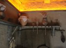 Показали, как жили обычные казаки в курене