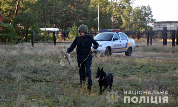   У лісі на Житомирщині 25-річного грибника підстрелили в ногу. Підозрюваний - 49-річний мешканець Києва