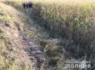 На Сумщині в кукурудзяному полі знайшли перекинуте авто із мертвим 30-річним водієм всередині. Коли сталася аварія - встановлюють експерти