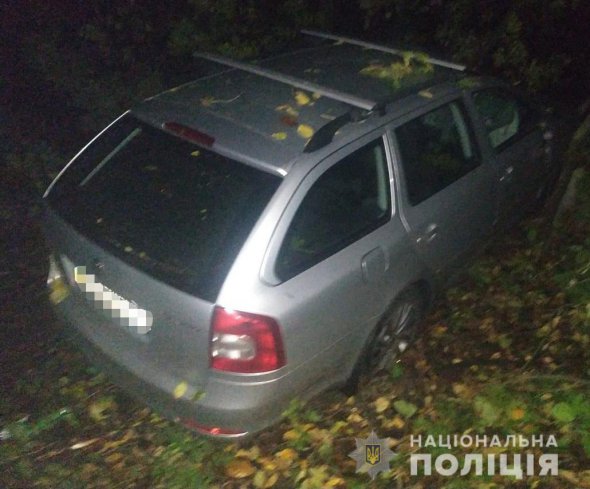 В Винницкой области иномарку во время движения привалило деревом