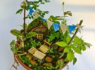 Сад на подоконнике: сказочные композиции в цветочных горшках
