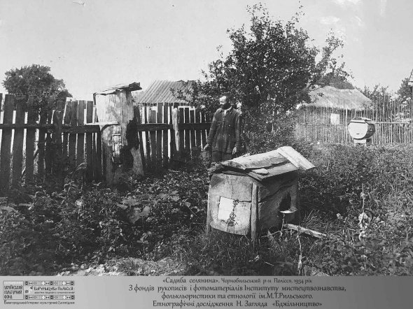 На фотовиставці показали чимало архівних знімків, які показують, що бортництво - давній промисел. Ним активно займаються на Поліссі