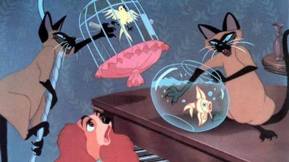 Фрагмент из мультфильма "Леди и Бродяга" 1955-го