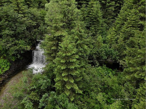 Плотина "Лостунец". Национальный природный парк "Верховинский"